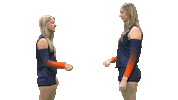 Cnvb Sticker by Carson-Newman Athletics