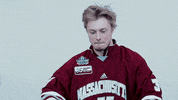 ncaasports hockey college ncaa ice GIF