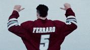 ncaasports hockey college ncaa ice GIF