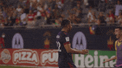 Chicago Fire Sport GIF by Chicago Fire Football Club