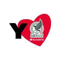 Seleccionmexicana Seleccionnacional Sticker by Banorte