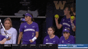 ncaasports ncaa softball washington huskies GIF