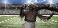 super bowl 2016 GIF by Mountain Dew