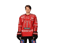 Shl Sticker by Örebro Hockey