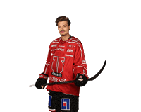 Shl Sticker by Örebro Hockey
