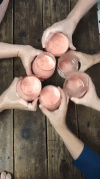 cheers watermelon margarita GIF by Tytanium Academy