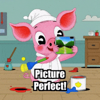 Picture Perfect Photography GIF by The Pigasso