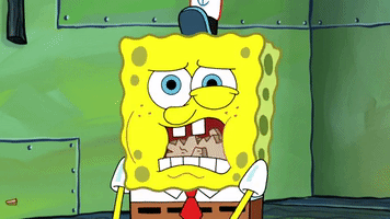 season 9 GIF by SpongeBob SquarePants