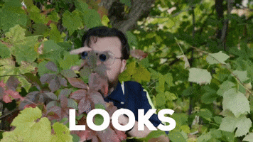 StittsvilleOnPatrol coming danger not good look out GIF