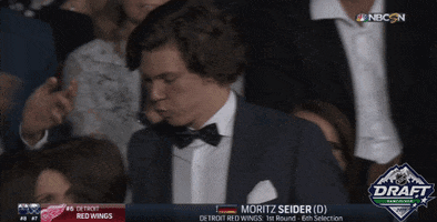 nhl sports sport hockey nhl GIF