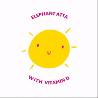 Elephantattaofficialbrand sun cooking sunshine sunny GIF