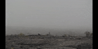 Education Clouds GIF by DIIMSA Stock