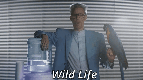 wild life 80s GIF by Client Liaison
