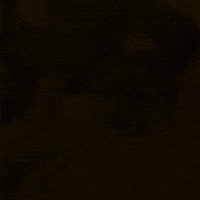 Punjabi Sidhu GIF