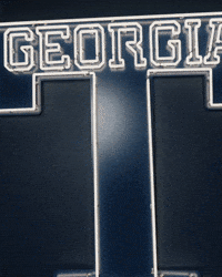 Georgia Tech Baseball GIF by Georgia Tech Yellow Jackets
