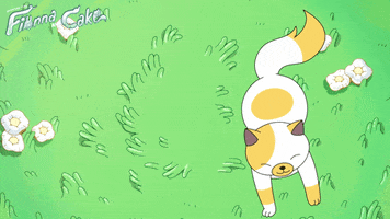 Adventure Time Fionna And Cake GIF by Cartoon Network