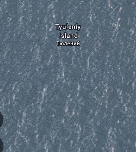 likedhu giphyupload GIF