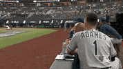 Excited Lets Go GIF by MLB