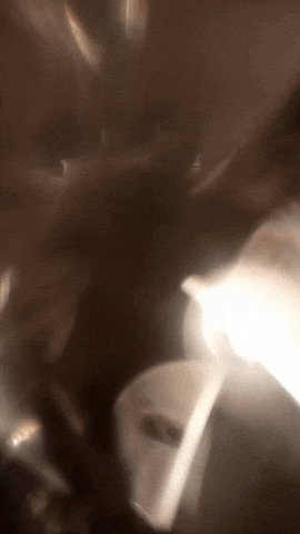 Simongip giphyupload GIF