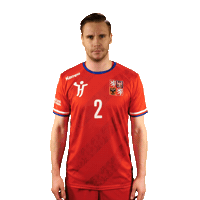Ceska Hazena Sticker by Czech Handball
