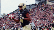 Football Reaction GIF by Purdue Sports