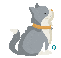 Cat Ferry Sticker by Baleària