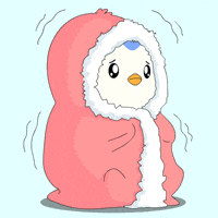 Freezing Warm Up GIF by Pudgy Penguins