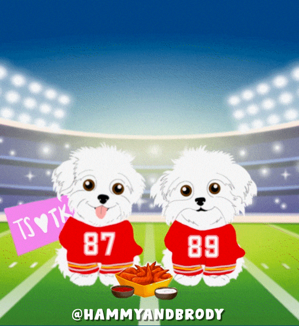 Football Dogs GIF by HammyandBrody