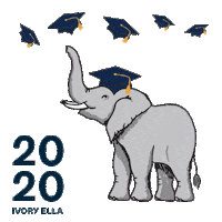 Class Of 2020 Sticker by Ivory Ella
