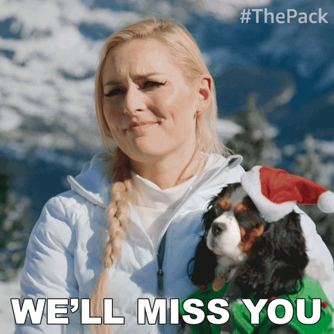 The Pack Dogs GIF by Amazon Prime Video