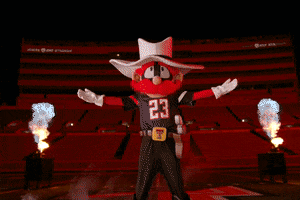 Texas Tech Sport GIF by Texas Tech Football