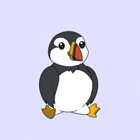 puffinsdotfun sport workout gym bird GIF