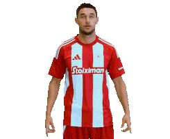 Greek Football Sticker by Olympiacos FC