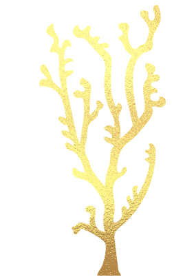 Sticker by Spectrum Collections