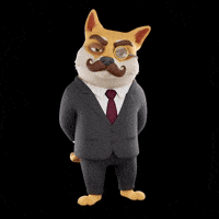 Judging Shiba Inu GIF by Doge Pound