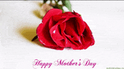Mothers Day Mother GIF by echilibrultau