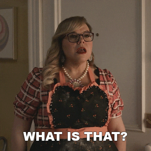 Season 17 What GIF by Paramount+