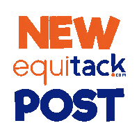 Horseback Riding Saddle Sticker by Equitack
