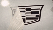 Cadillac Formula 1 GIF by Cadillac