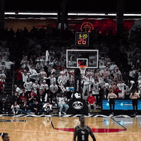 Basketball Fans GIF by Cincinnati Bearcats