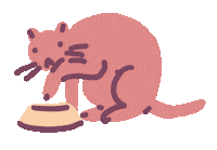 Cat Water Sticker by Sara Maese