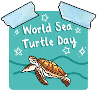 Calendar Sticker by Twinkl Parents