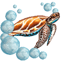 sea turtle water Sticker by NRDC