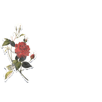 Break Up Sticker by Seaforth