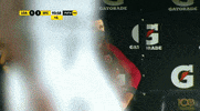 GIF by TD Más