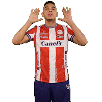 Adsl Tibu Sticker by Atlético de San Luis