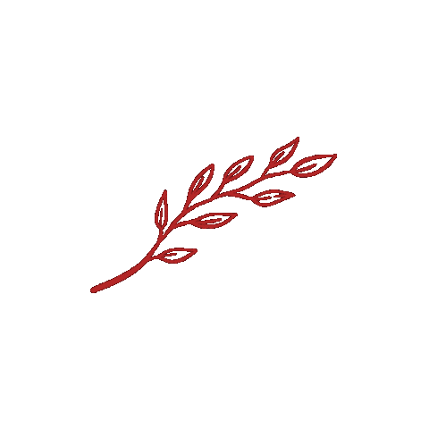 Frases Celebrate Sticker