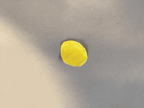Inhethartvanhethout GIF by Kunstkwartier