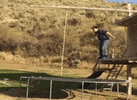 fall lol GIF by America's Funniest Home Videos