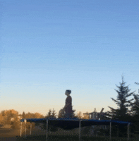 ball lol GIF by America's Funniest Home Videos